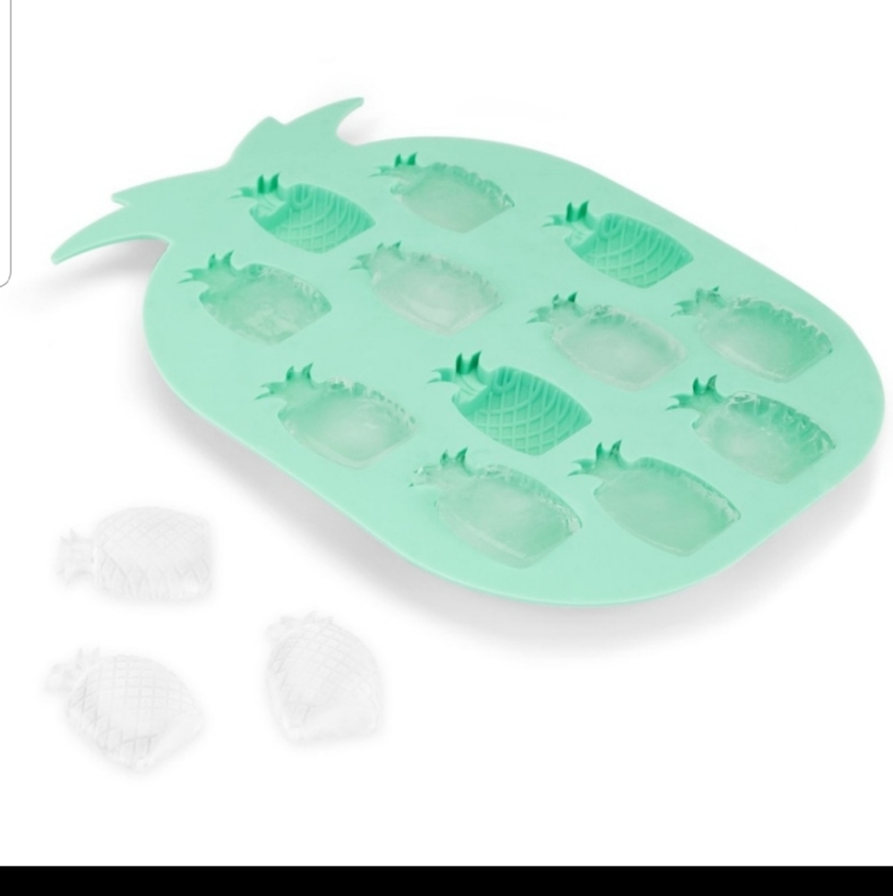 NEW Blush Pineapple Shaped Ice Mold